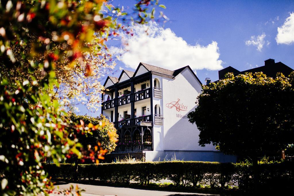 Hôtel Altes Winzerhaus à Commune fusionnée de Cochem-Land Extérieur photo